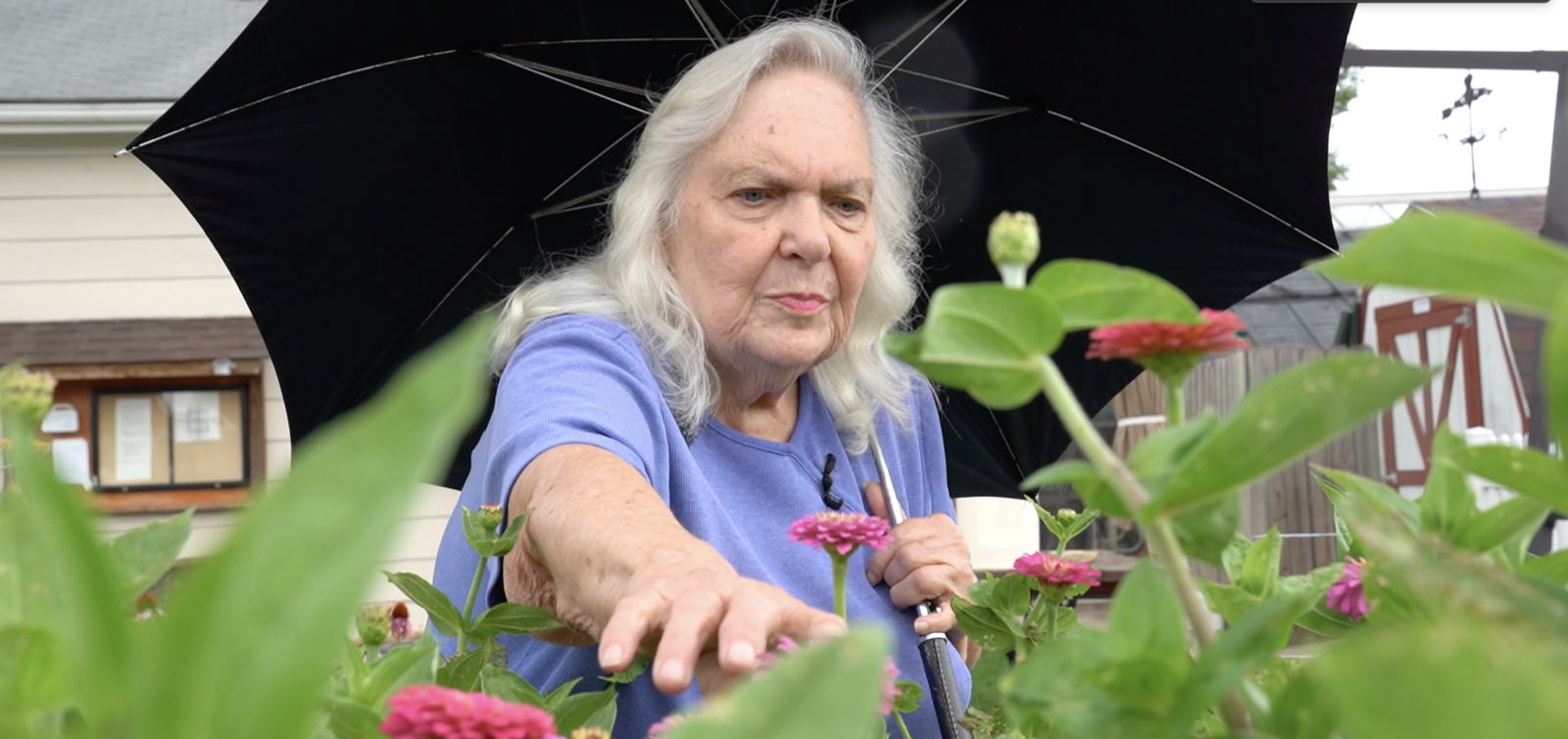 Kansas Garden Club Butterfly Chairman Donna Schneck