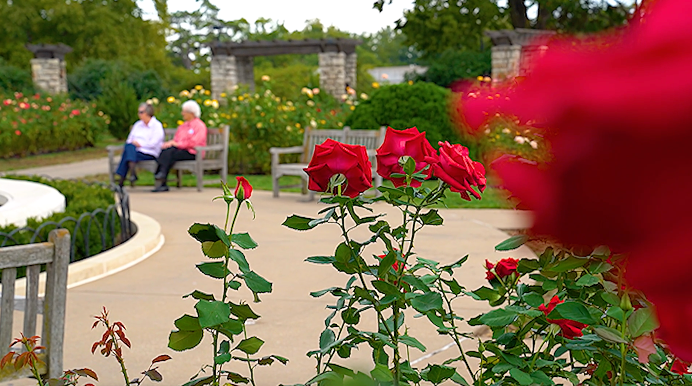 From Nurturing People to Nurturing Roses