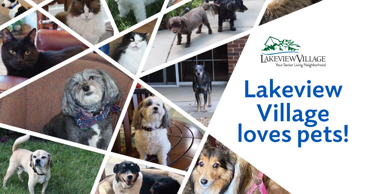 New off-leash dog park in 2022 comes to Lakeview Village