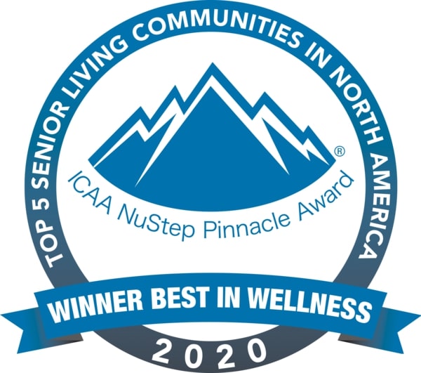 Pinnacle Award winner Logo 2020